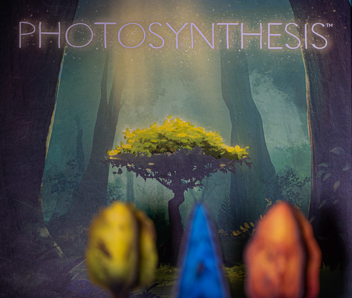 Is Photosynthesis Fun?